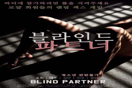 致盲伴侣 盲人伴侣